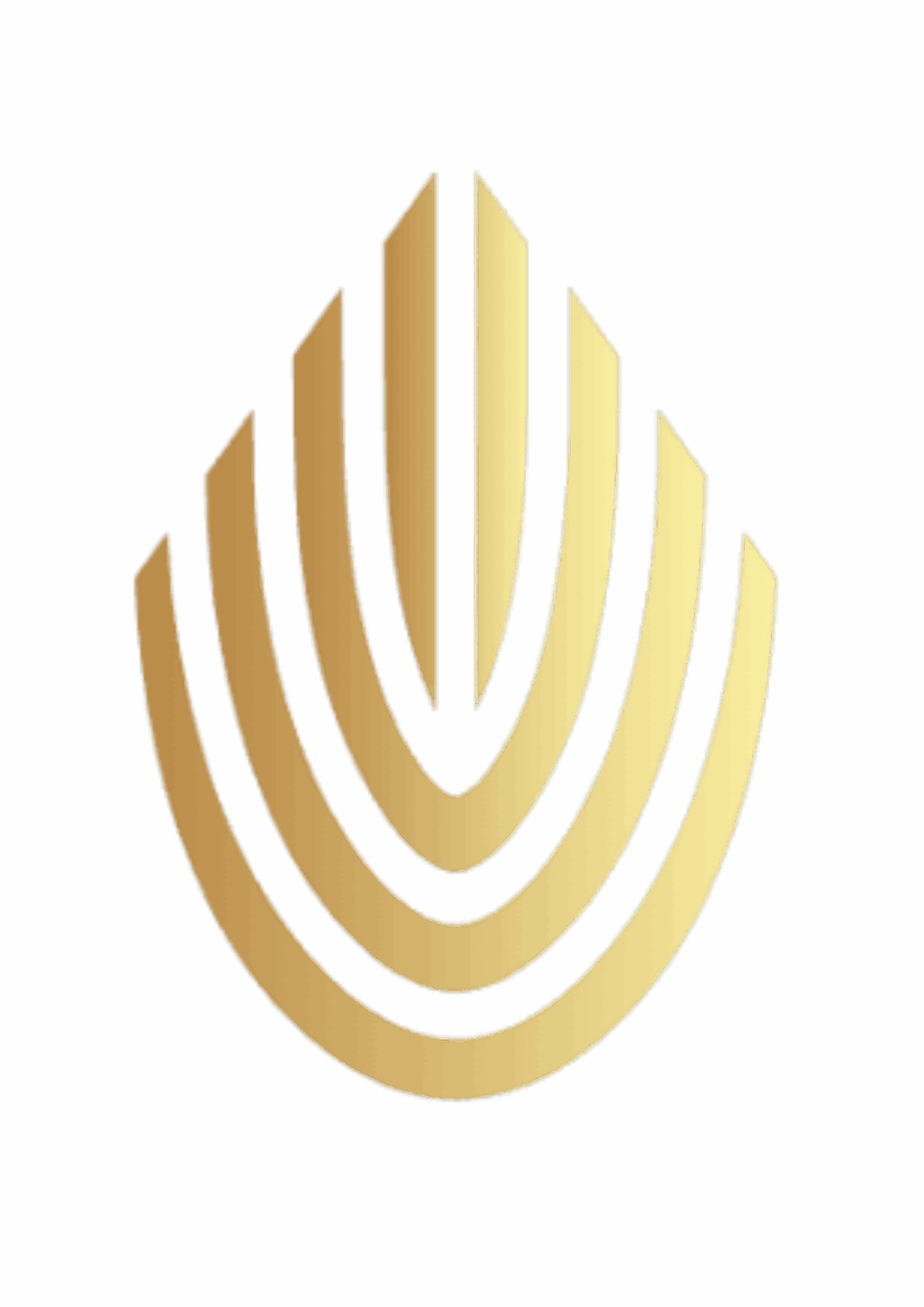 Verita Correctum Fiscalis